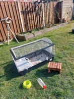 Knaagdieren kooi, Minder dan 60 cm, Kooi, Ophalen of Verzenden, Zo goed als nieuw