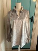 Zilvergrijze Velours Blouse, Ophalen of Verzenden, Gedragen, Maat 42/44 (L), Kleding