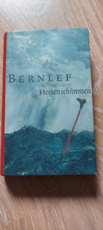 Bernlef - Hersenschimmen, Boeken, Literatuur, Gelezen, Bernlef, Ophalen of Verzenden