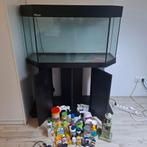 Aquarium, Ophalen of Verzenden, Zo goed als nieuw, Leeg aquarium