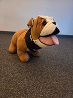 Mini Bulldog Mascotte Knuffel - Groot Formaat, Ophalen of Verzenden, Zo goed als nieuw, Hond