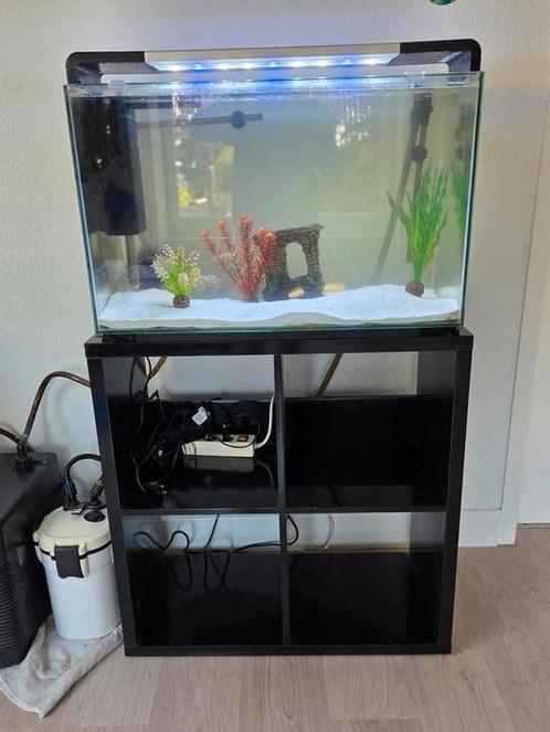 Aquarium 110 liter met meubel, externe pomp en axolotl, Dieren en Toebehoren, Vissen | Aquaria en Toebehoren, Zo goed als nieuw