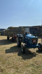 Hooi te koop, Mannelijk, Schaap