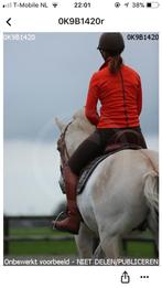 Priveles op Z2 paard, Dieren en Toebehoren, Ophalen, Zo goed als nieuw