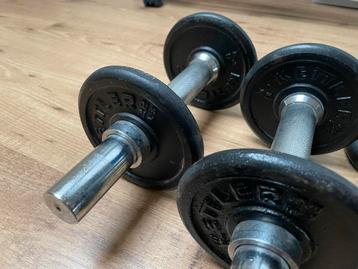 Kettler Halters / Dumbbells beschikbaar voor biedingen