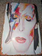 Wandbord David Bowie, Verzamelen, Ophalen of Verzenden, Nieuw