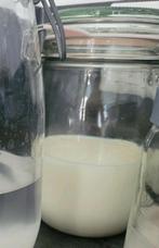 Melkkefir korrels gratis, Ophalen of Verzenden