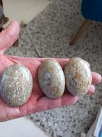 schelpen of coquille jaspis handsteen, Ophalen of Verzenden, Mineraal