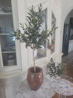 Nieuwe kunst olijven boompjes merk Clayre & Eef, Belle Vieille Brocante, Nieuw, Ophalen of Verzenden, Jolandamonsieurs@gmail.com