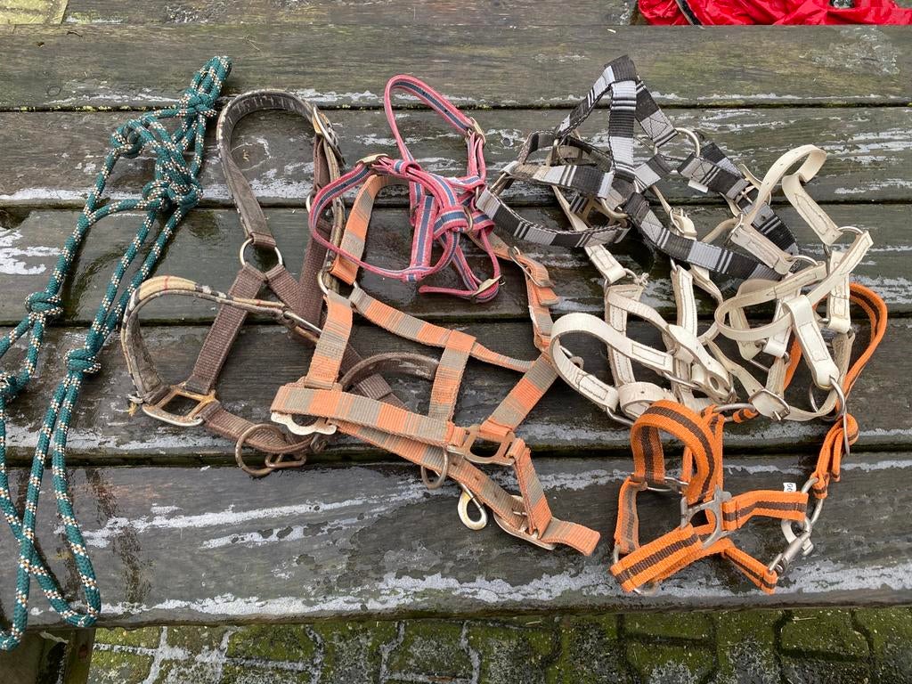 halsters maat shetland en veulen, Ophalen of Verzenden, Zo goed als nieuw