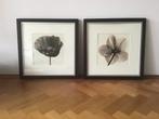 Lijst 50x50 cm 2 stuks IKEA Stad, Huis en Inrichting, Woonaccessoires | Lijsten, Ophalen, 50 tot 75 cm, Zo goed als nieuw, 50 tot 75 cm