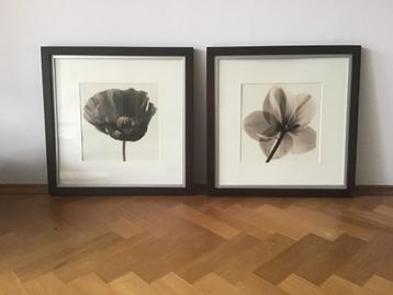 Lijst 50x50 cm 2 stuks IKEA Stad beschikbaar voor biedingen