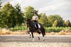 Instructie aangeboden op eigen of mijn paarden, Diensten en Vakmensen, Dieren | Paarden | Verzorging, Oppas en Les, Paardrijles of Ponykampen