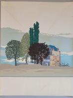 Cees Vlag Linosnede 1970, Antiek en Kunst, Kunst | Etsen en Gravures, Ophalen