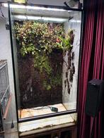 Terrarium 720L met levende achtergrond, Ophalen, Gebruikt, Terrarium of Paludarium
