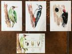 Nederlandse Spechten – postzegels + kaarten, Postzegels en Munten, Ophalen of Verzenden, Postfris