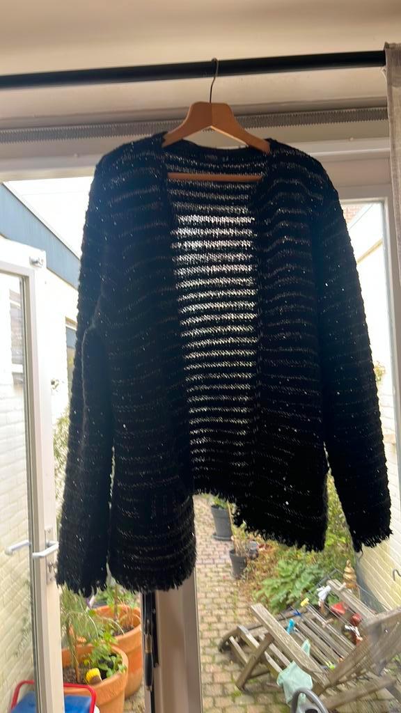 Superfeestelijk Yesta jasje/vestje. Maat 50 tot 56, Kleding | Dames, Grote Maten, Zo goed als nieuw, Trui of Vest, Zwart, Ophalen of Verzenden