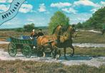 APPELSCHA Klederdracht Paarden Wagen, Verzenden, 1980 tot heden, Gelopen, Friesland