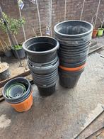 Diverse gebruikte plantenpotten - Verschillende maten, 25 tot 40 cm, Kunststof, Gebruikt, Ophalen of Verzenden