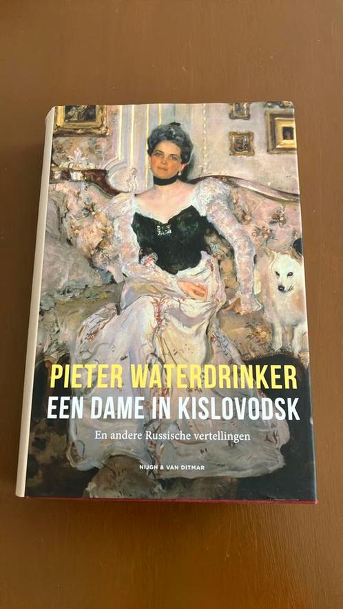 Pieter Waterdrinker - Een dame in Kislovodsk, Boeken, Literatuur, Zo goed als nieuw, Nederland, Ophalen of Verzenden