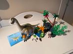 Playmobil 4172 - Dinosaurus met Onderzoekers, Ophalen of Verzenden, Zo goed als nieuw, Complete set