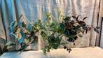 Kunst planten, Ophalen of Verzenden, Zo goed als nieuw, Binnen