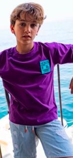 Stoer Tshirt paars maat 164 Vingino, Ophalen of Verzenden, Zo goed als nieuw, Vingino, Shirt of Longsleeve