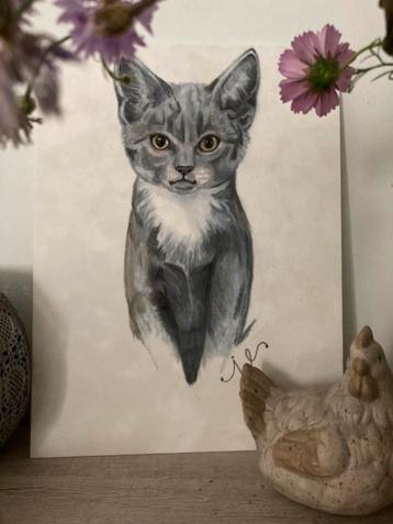 Portret grijze kat