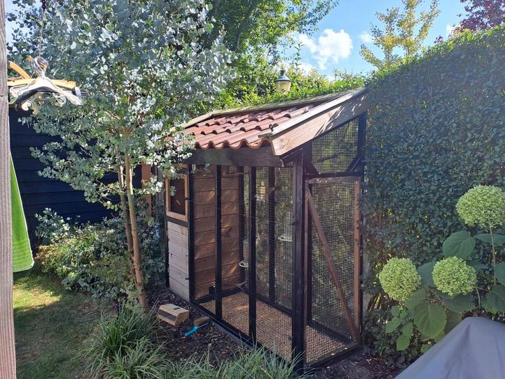 Complete voliere met vogels en toebehoren! MOET WEG!!, Dieren en Toebehoren, Vogels | Hokken en Kooien, Zo goed als nieuw, Volière