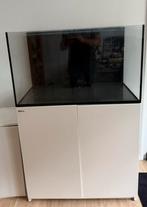 Red sea reefer 250 aquarium, Dieren en Toebehoren, Vissen | Aquaria en Toebehoren, Ophalen of Verzenden, Zo goed als nieuw, Leeg aquarium