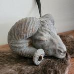 Ram Hoofd Decoratie, Antiek en Kunst, Kunst | Beelden en Houtsnijwerken, Ophalen of Verzenden