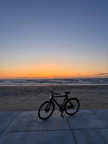 Van Moof S3 beschikbaar voor biedingen
