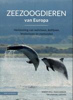 Zeezoogdieren van Europa., Ophalen of Verzenden, Nieuw, Paarden of Pony's
