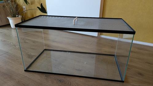 Terrarium / Kooi, Dieren en Toebehoren, Reptielen en Amfibieën | Toebehoren, Gebruikt, Terrarium of Paludarium, Ophalen
