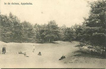 (388-571-027) Appelscha In de duinen beschikbaar voor biedingen