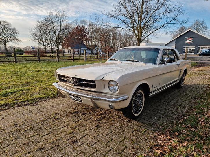 Ford mustang 1965 | Inruil bespreekbaar, Auto's, Oldtimers, Bedrijf, Te koop, Ford USA, Benzine, Coupé, Automaat, Wit, Zwart, Kunstmatig leder