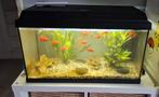 Juwel Aquarium 60 Liter, Dieren en Toebehoren, Vissen | Aquaria en Toebehoren, Ophalen, Zo goed als nieuw, Gevuld zoetwateraquarium