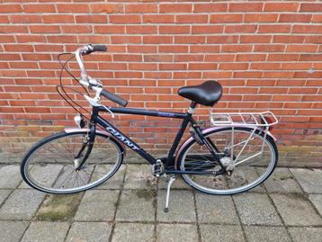 giant jubilee beschikbaar voor biedingen