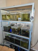 9 aquariums tekoop inc verwarming & luchtpomp, Ophalen, Gebruikt, Leeg aquarium