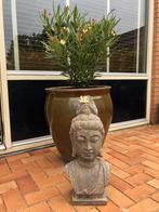 Bouddha beeld (merk PTMD) 58 cm x 25 cm, Ophalen, Zo goed als nieuw