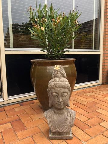 Bouddha beeld (merk PTMD) 58 cm x 25 cm beschikbaar voor biedingen