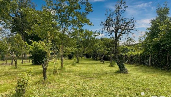 Boomgaard in Frankrijk te koop (recreatiegrond), Huizen en Kamers, Recreatiewoningen te koop, Overige soorten