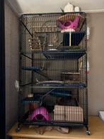 Ratten/fretten kooi met toebehoren, Dieren en Toebehoren, Ophalen, Kooi, Zo goed als nieuw, 90 cm of meer