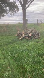 Te koop haard brandhout, Tuin en Terras, Haardhout, Ophalen of Verzenden
