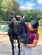 Online hulp/ begeleiding voor jou en je paard ️, Dieren en Toebehoren, Ophalen, Nieuw