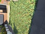 Camouflage netten, Tuin en Terras, Ophalen, Kunststof, Gebruikt, 200 cm of meer