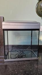 Aquarium terrarium, Ophalen, Gebruikt, Leeg aquarium