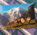 4 kaarten van Kandersteg Zwitserland en hotel alfa soleil, Ophalen of Verzenden, 1980 tot heden, Gelopen, Overig Europa