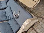 Gratis af te halen kittens 10 weken oud, Dieren en Toebehoren