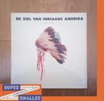 de ziel van indiaans amerika - anna lee walters, Ophalen of Verzenden, Zo goed als nieuw, Anna Lee  Walters, Noord-Amerika